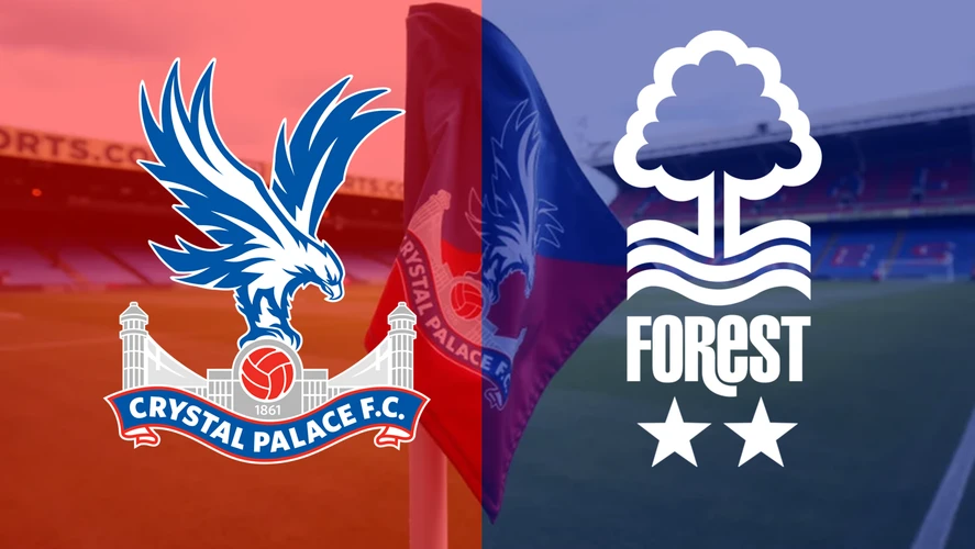 Prediksi Skor Crystal Palace vs Newcastle 25 Oktober 2026